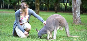 Känguru streicheln im Australia Zoo