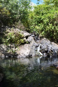 Wasserfall und Quelle auf Guadeloupe