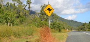 Achtung Känguruh Warnschild in Australien