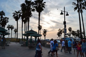 Venice Beach Boulevard