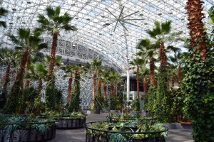 Navy Pier in Chicago: Botanischer Garten