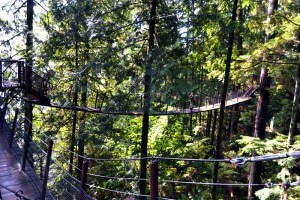 Treetops Adventure im Capilano Suspension Bridge Park Vancouver