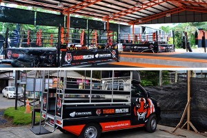 Tiger Muay Thai Camp Thailand