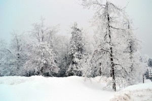 Winterberg im Sauerland - verschneit im Winter