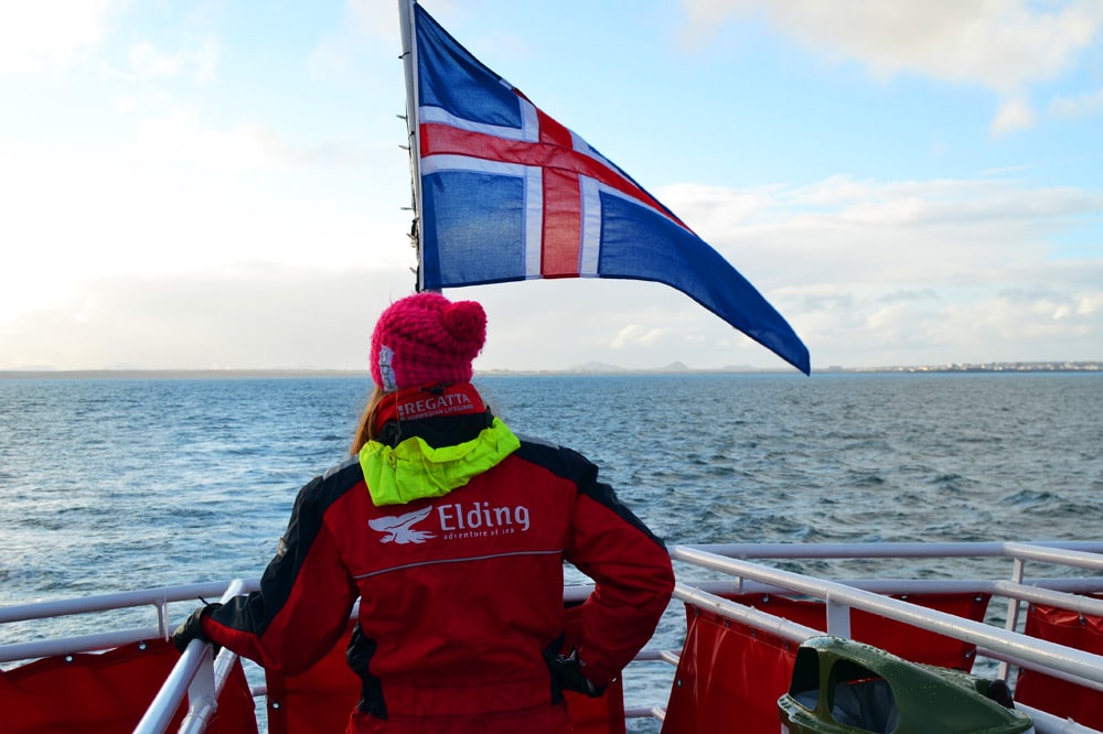 Wale beobachten in Island: Whale Watch mit Elding Reykjavik