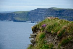 Irland Südwesten: Cliffs of Moher wandern