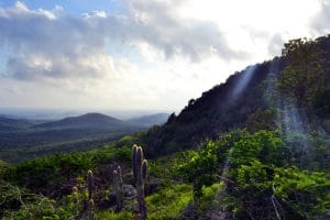 Curacao: Wanderung auf den Christoffelberg im Christoffel Nationalpark