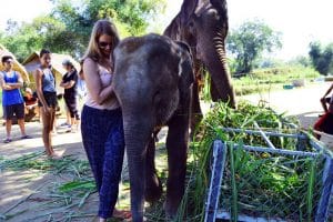 Elephant Retirement Park Chiang Mai - Elephant Sanctuary