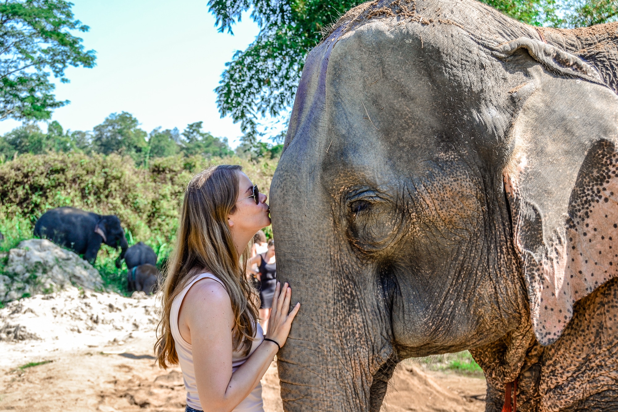 Elephant Retirement Park Chiang Mai