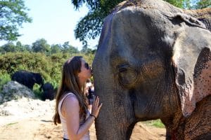 Elephant Retirement Park Chiang Mai - Elephant Sanctuary