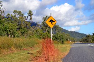 Alleine reisen in Australien: Tipps für deine Soloreise nach Down Under