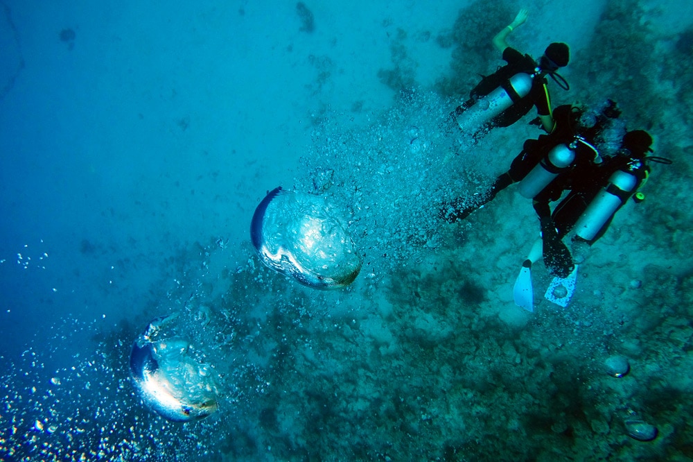 Tauchen Sharm El Sheikh Sunshine Divers Club Ägypten