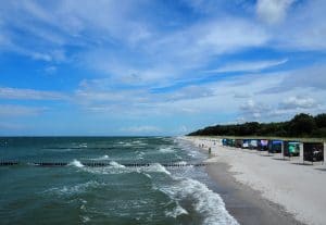 Ostsee: Surf & Kite Club Zingst - Surfschule in Mecklenburg Vorpommern