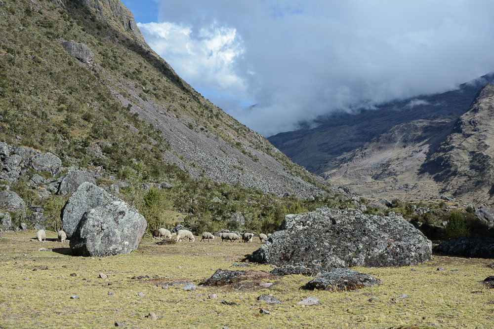 Lares Trek nach Machu Picchu: Tag 1 Trekking in Peru