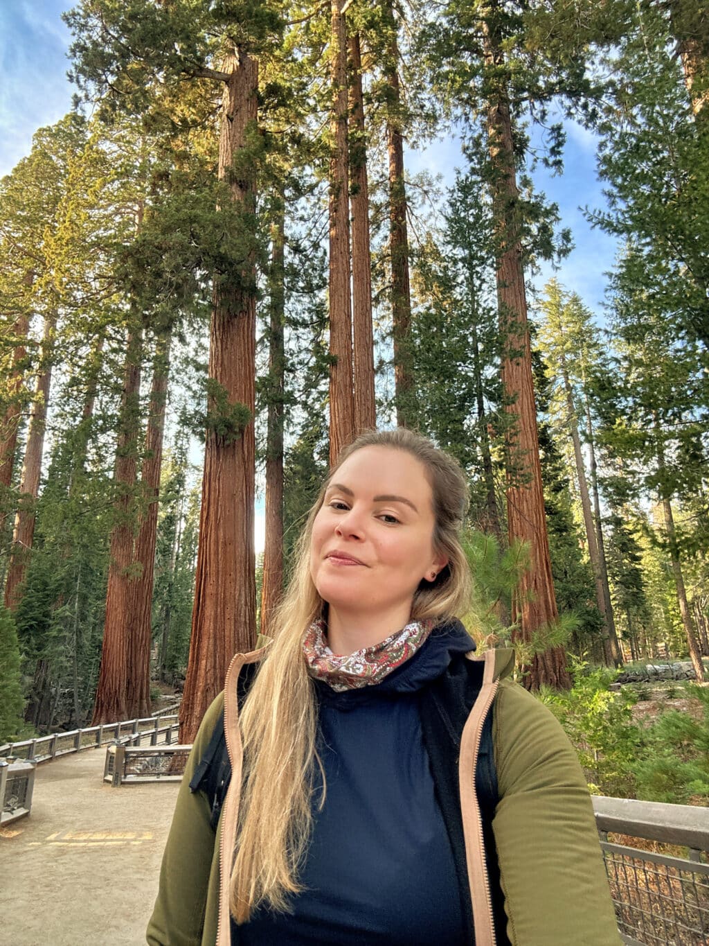 Mariposa Grove - die Mammutbäume