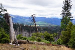 Von San Francisco zum Yosemite Nationalpark - Yosemite Valley Wandern