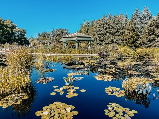 Denver Highlights: Denver Botanic Gardens