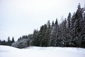Jyväskylä in Lakeland, Finnland: Verschneite Landschaft im Winter