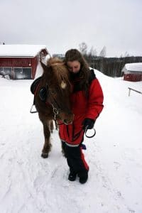 Koli Finnland: Islandpferde reiten im Schnee