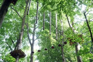 Teutoburger Wald: Klettern im Kletterpark am Johannisberg in Bielefeld