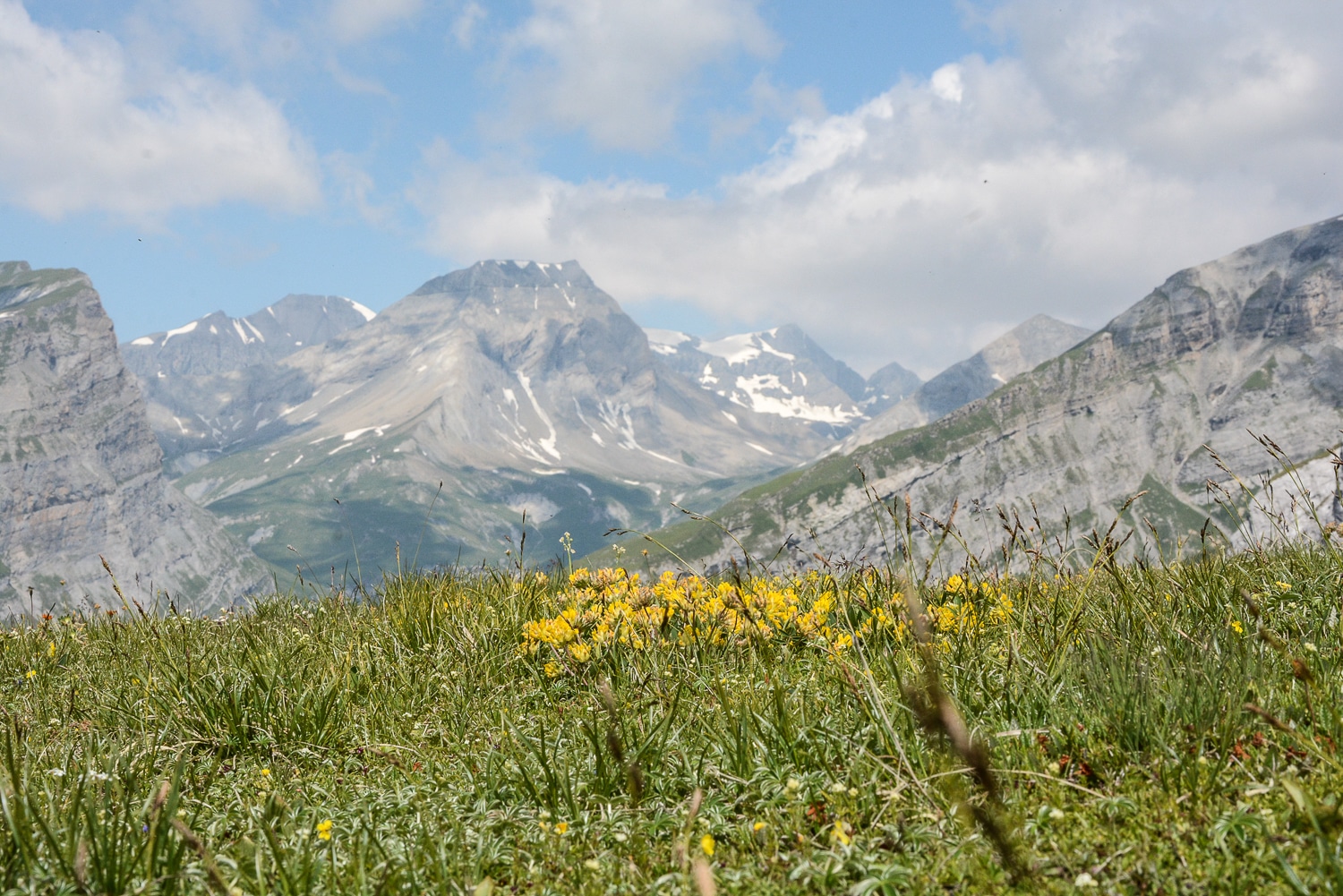 Flims und Laax, Bündner Berge: Wandern, Mountainbiken und Seen in der Schweiz - Alp Mora Gletschermühlen 