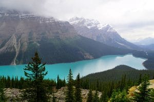 Kanada Rundreise: Highlights auf der Nationalparkroute von Vancouver nach Banff - Banff Nationalpark, Peyto Lake