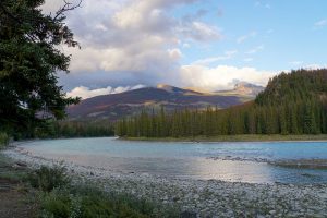 Jasper Nationalpark Top 10 Sehenswürdigkeiten: Das sind die Highlights im Park - Athabasca River