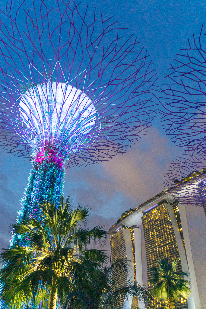 Gardens by the Bay und Supertrees - Singapur Top 10 Sehenswürdigkeiten