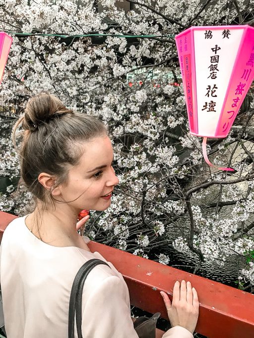 Kirschblüte in Tokio: Die fünf schönsten Orte und Hotspots zur Sakura - Meguro River