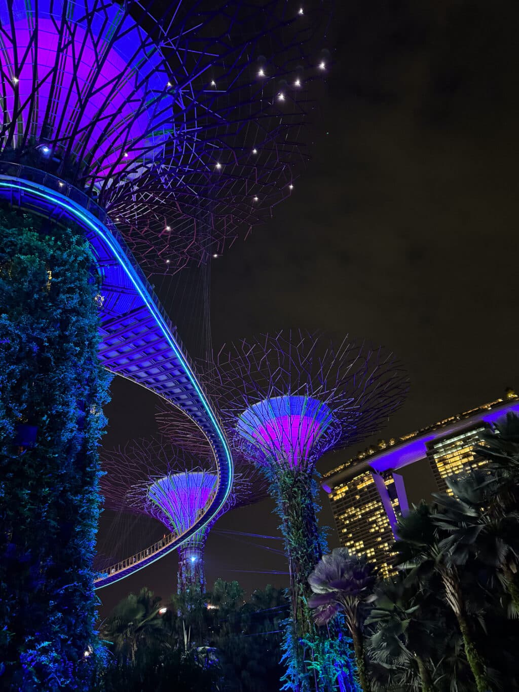 Gardens by the Bay Singapur - Supertrees im Supertree Grove - Garden Rhapsody