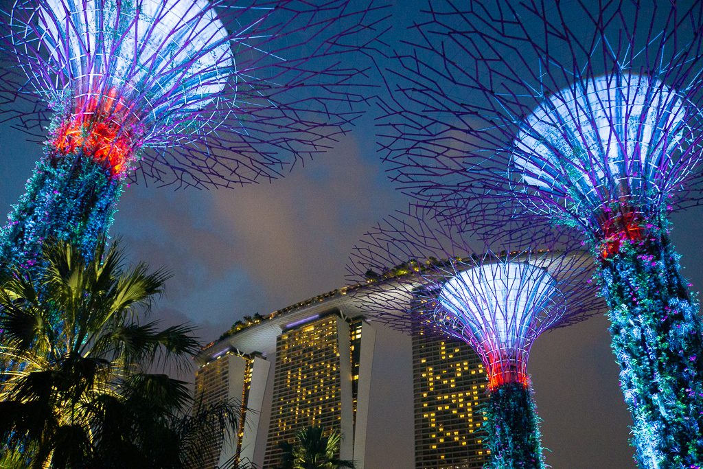 Gardens by the Bay: Sehenswürdigkeiten, Highlights und Eintrittspreise - Supertrees im Supertree Grove