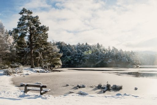 Cairngorms Nationalpark: Die SnowRoads Scenic Route in den Highlands - Loch An Eilein