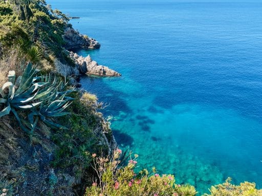 Dubrovnik Sehenswürdigkeiten Top 10: Meine Highlights und Tipps - schönste Strände und Buchten
