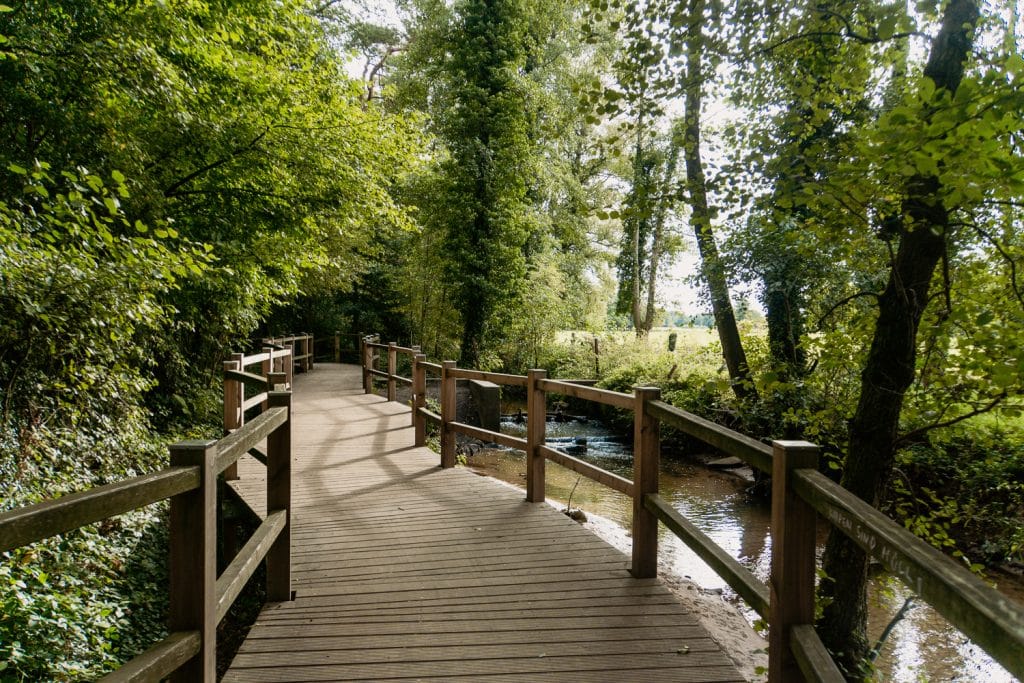 Schlossweg in Verl: Mein Tipp zum Wandern im Teutoburger Wald