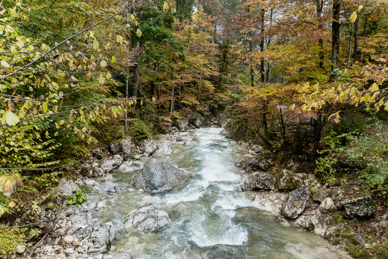 Oberaudorf: Sehenswürdigkeiten, Ausflüge und schönste Wanderungen - Gießenbachklamm Rundwanderung