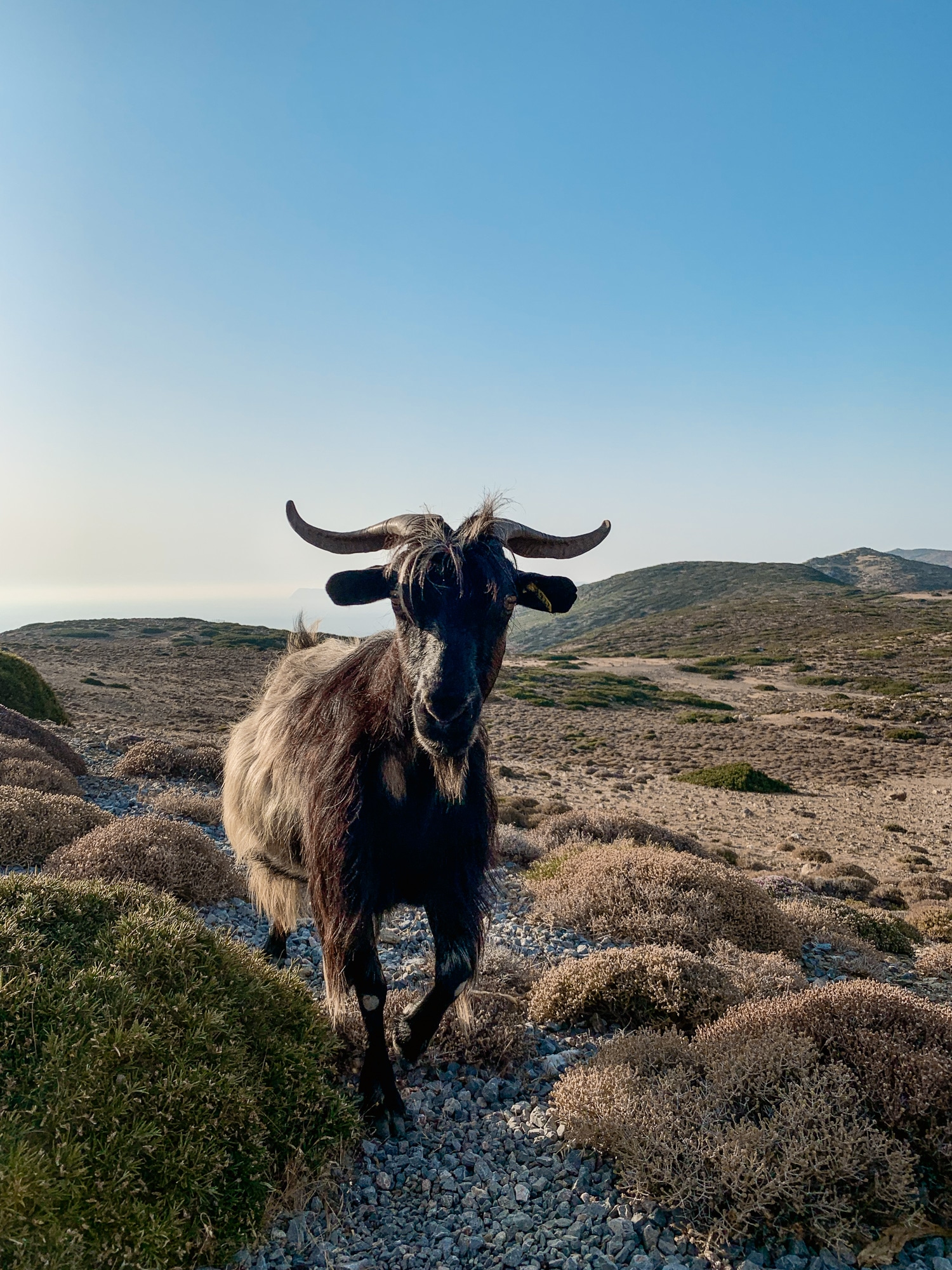 Kreta Sehenswürdigkeiten: 13 Stopps für deinen Kreta Roadtrip - Sitia Geopark