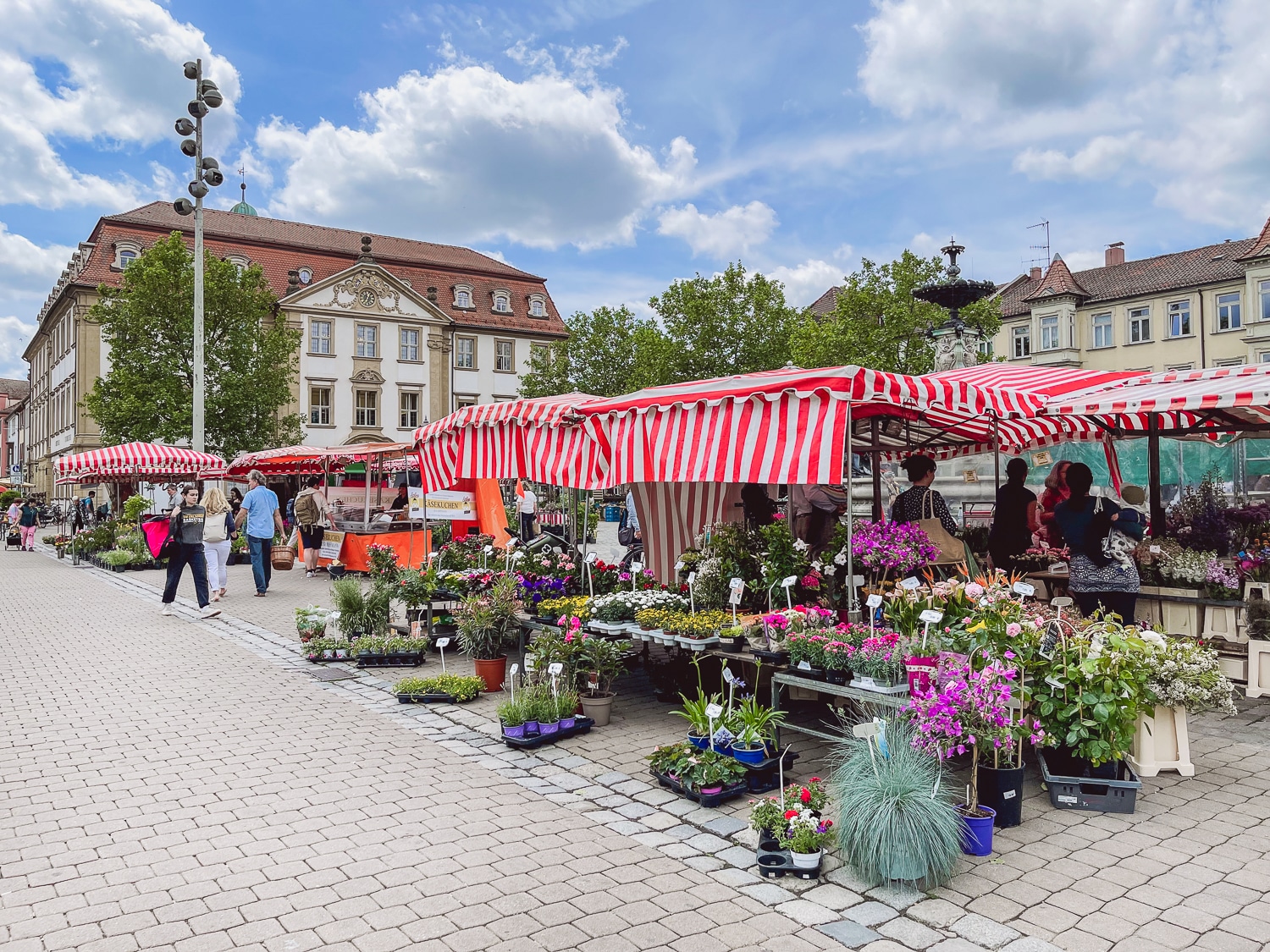 Wochenmarkt auf dem Schlossplatz - Sehenswuerdigkeiten in Erlangen
