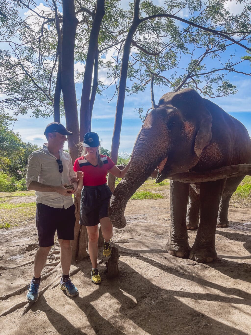 Samui Elephant Sanctuary Bophut