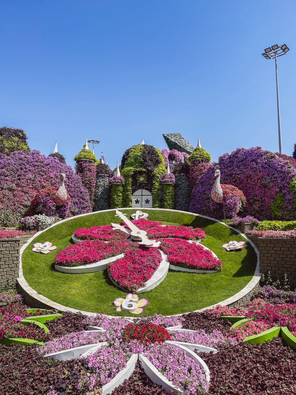 Dubai Miracle Garden