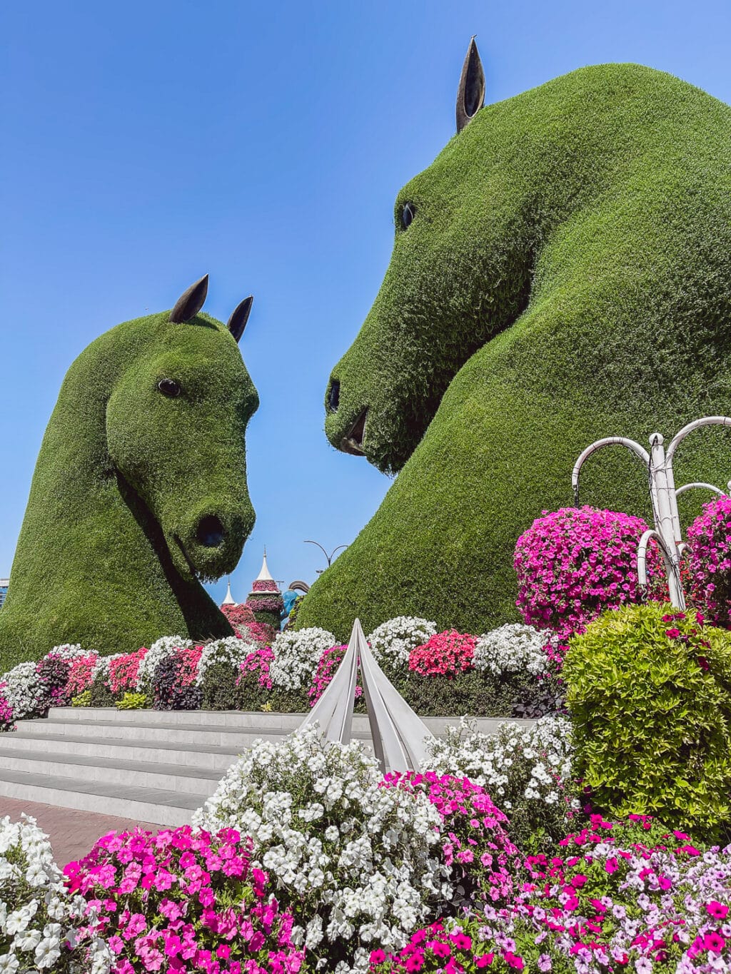 Dubai Miracle Garden - Pferde