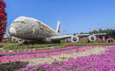 Dubai Miracle Garden – der größte Blumengarten der Welt