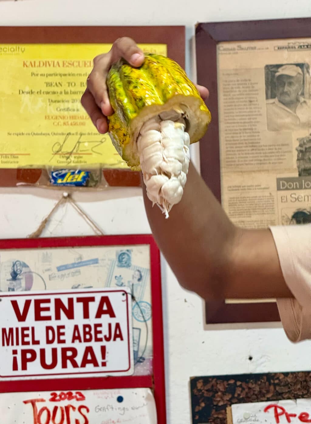 El Paraiso de Tuki Kakaofarm Minca 