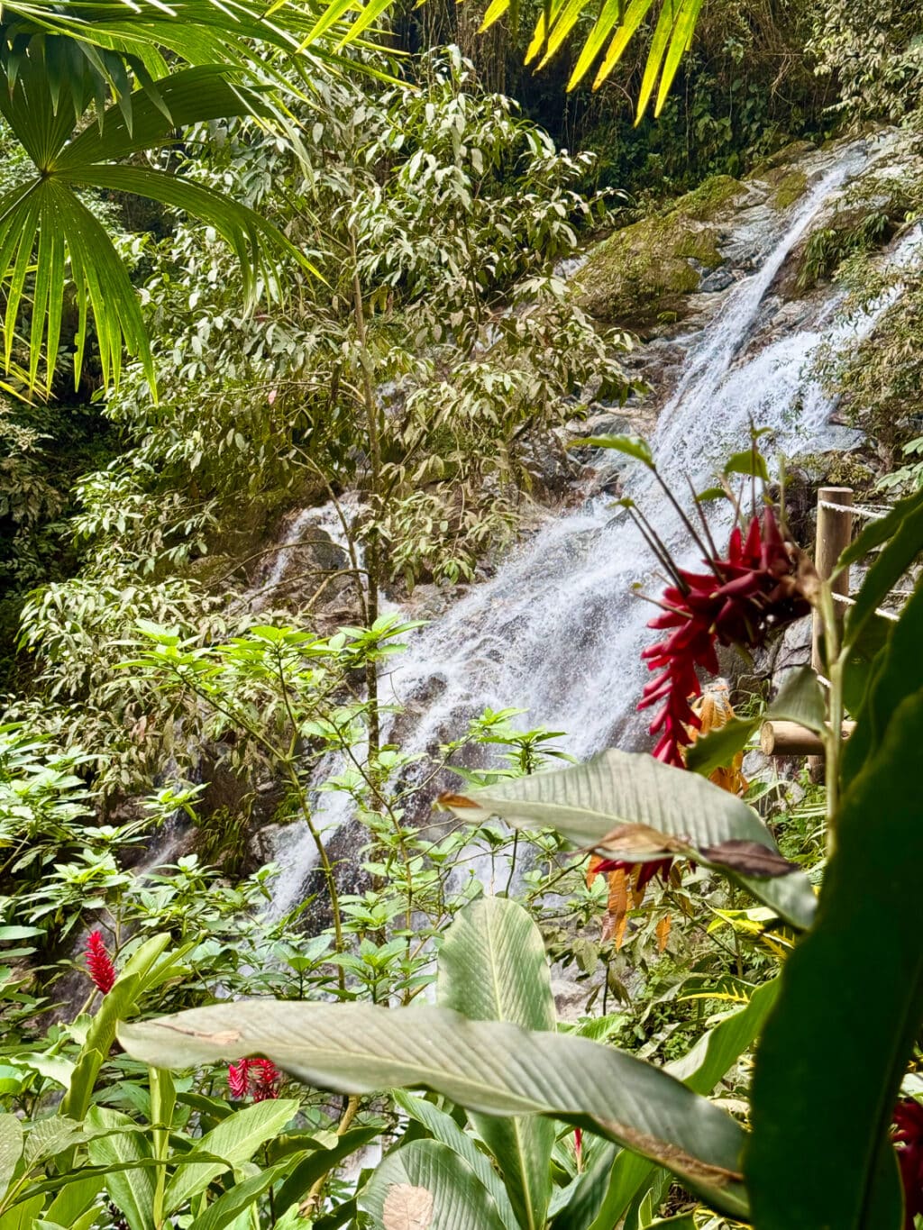 Cascadas de Marinka - Minca Sehenswürdigkeiten