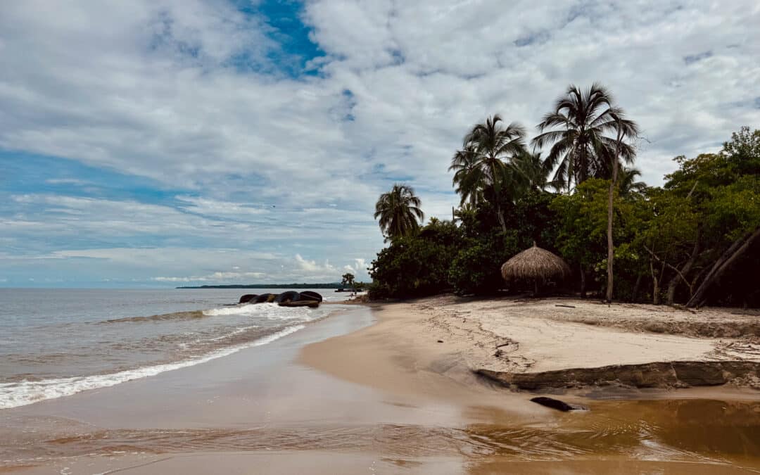 Palomino: Kolumbiens Paradies zwischen Dschungel und Karibik