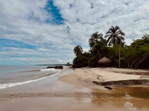 Palomino: Sehenswürdigkeiten und Tipps für euren Aufenthalt