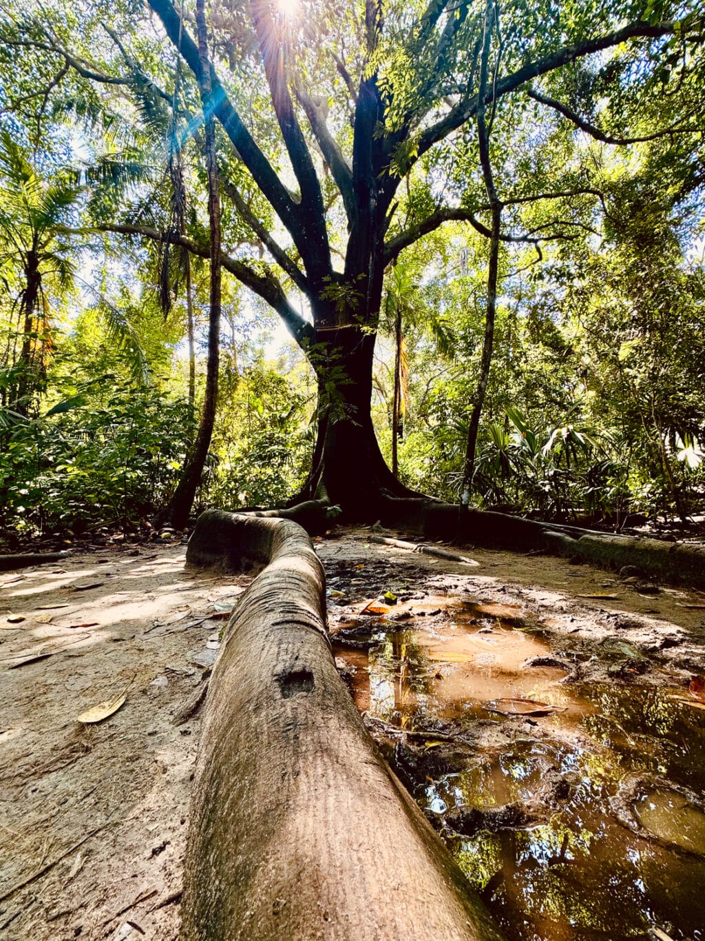 Tayrona Nationalpark Wanderung