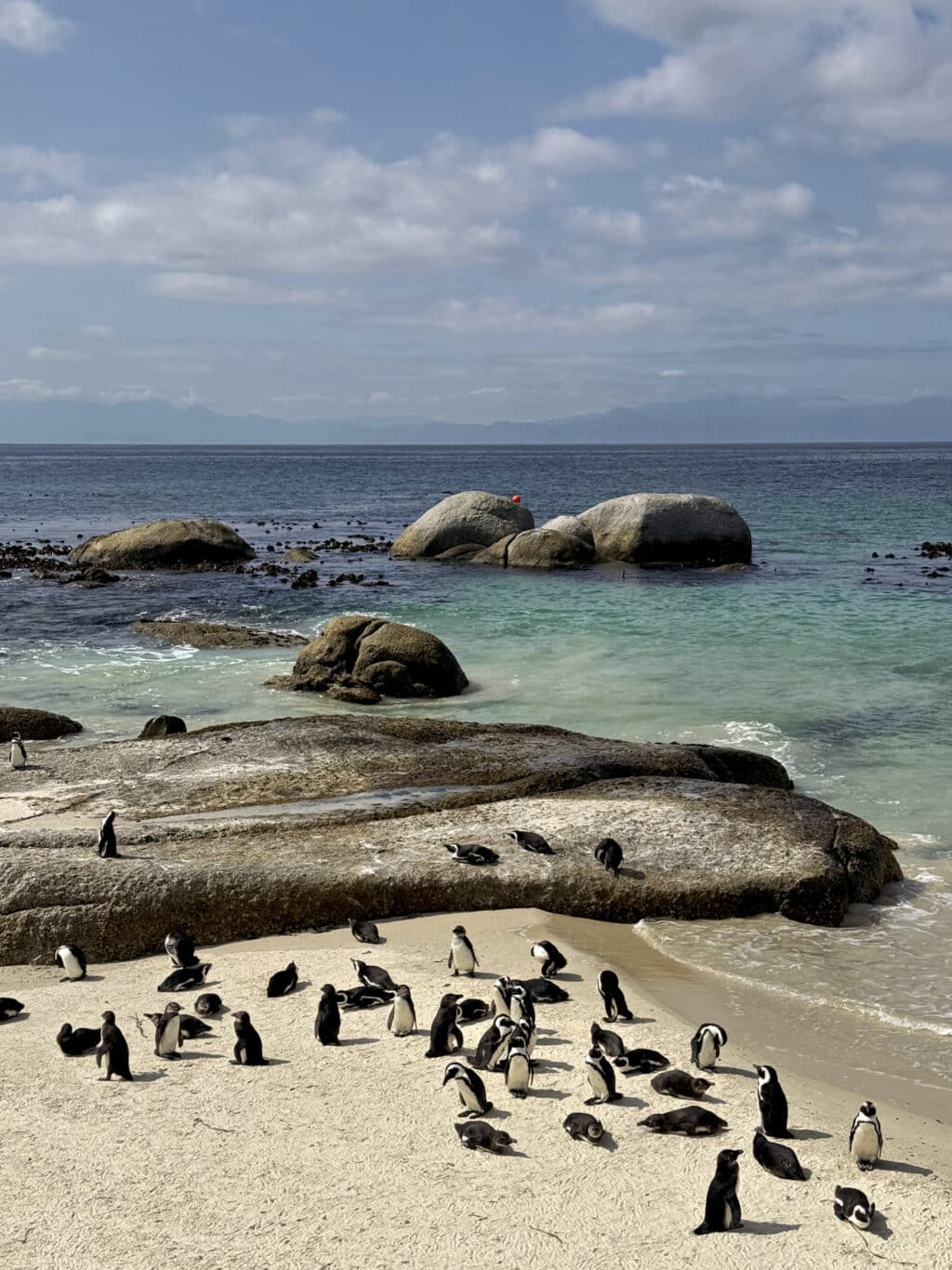 Boulders Beach bei Simon’s Town