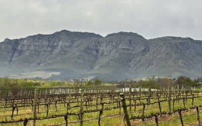 Stellenbosch in Südafrika – Wein, Geschichte und Lebensfreude