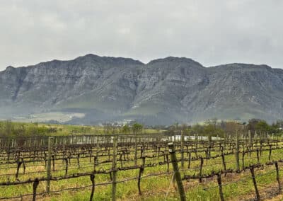 Stellenbosch in Südafrika