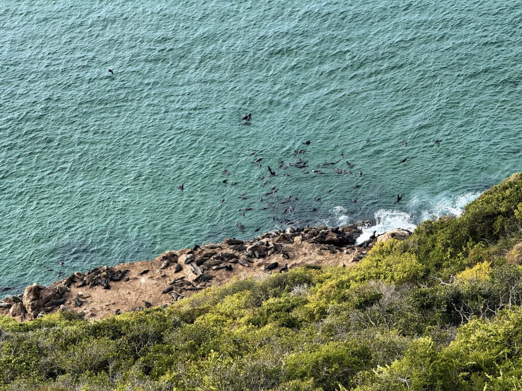 Robberg Nature Reserve, Plettenberg Bay Südafrika